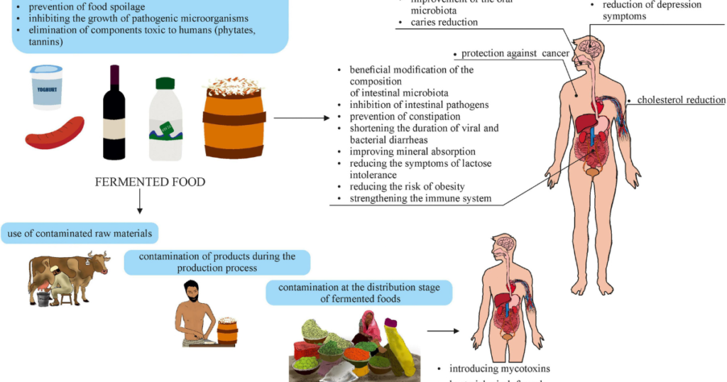 Unlock Gut Health: Discover the Benefits of Fermented Foods